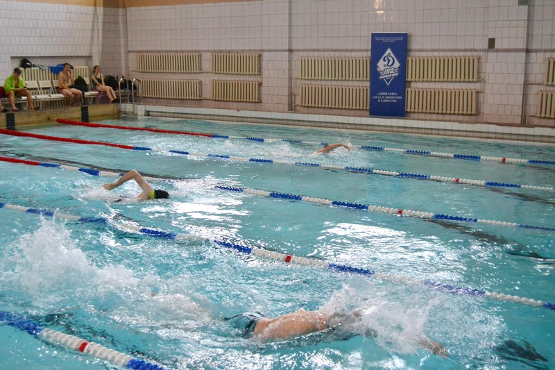 Соревнования по плаванию 2023