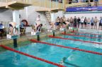 Соревнования по плаванию завершили программу динамовской Спартакиады