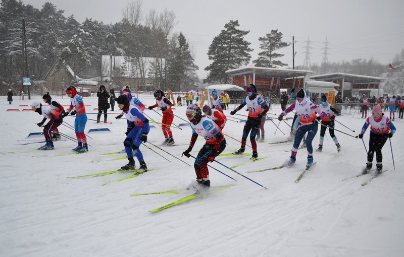 Динамовская лыжня 2025