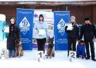На лыжной базе «Динамо» прошли соревнования кинологов